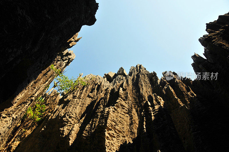 马达加斯加的Tsingy de Bemaraha